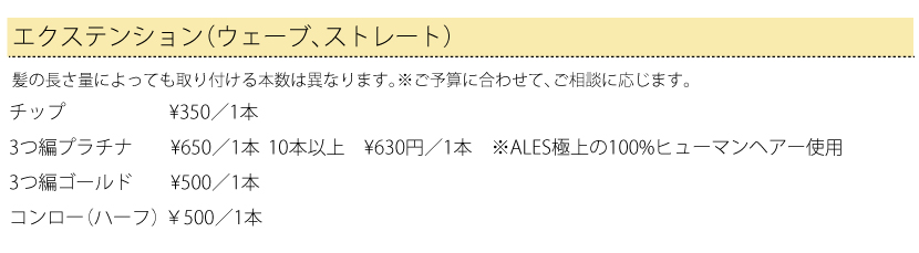 エキステンション